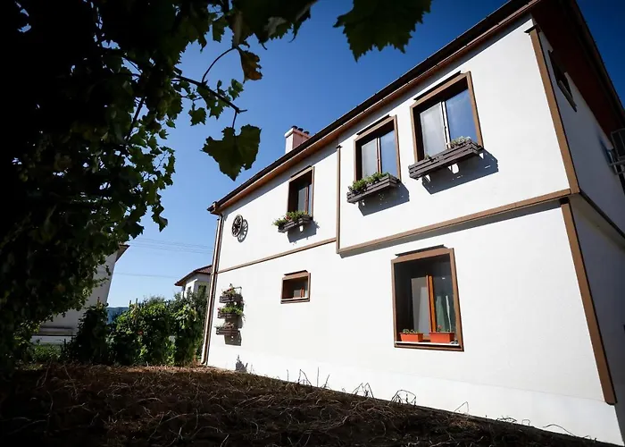 родопчани старцево